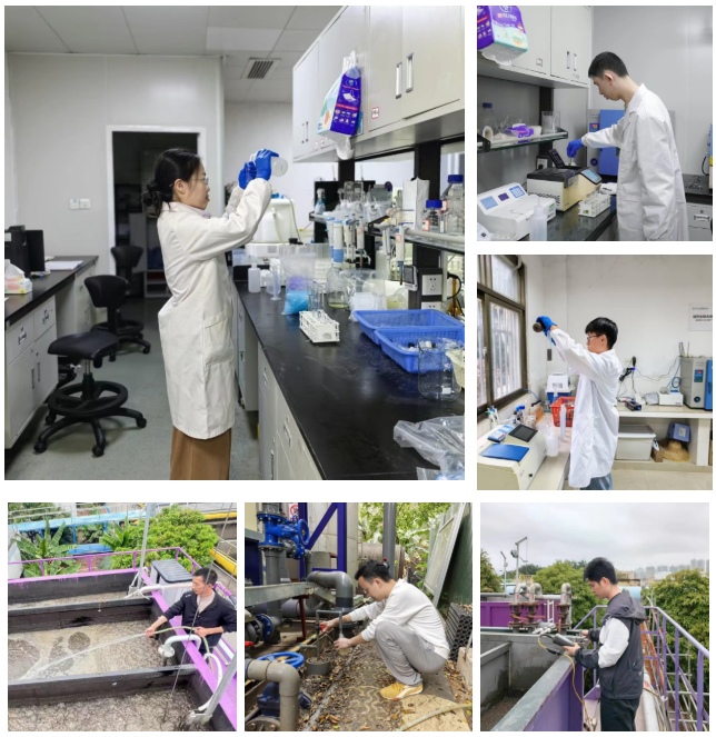 Z6·尊龙「中国」官方网站