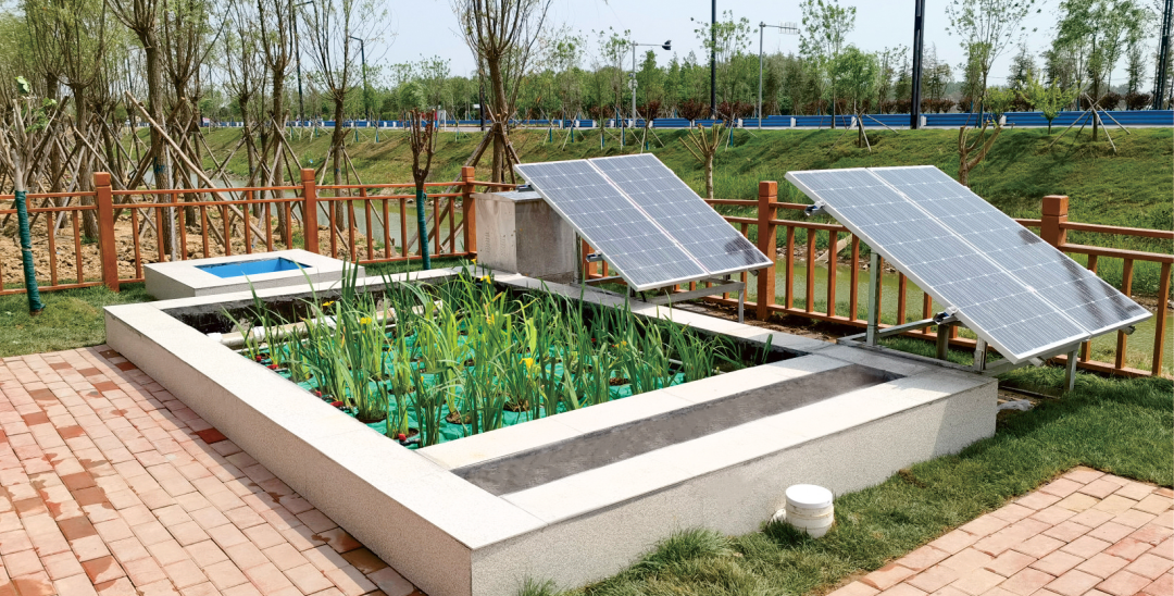 Z6¡¤×ðÁú¡¸Öйú¡¹¹Ù·½ÍøÕ¾