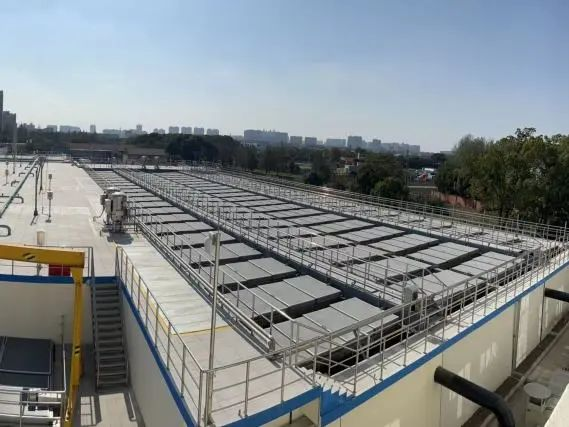 Z6¡¤×ðÁú¡¸Öйú¡¹¹Ù·½ÍøÕ¾