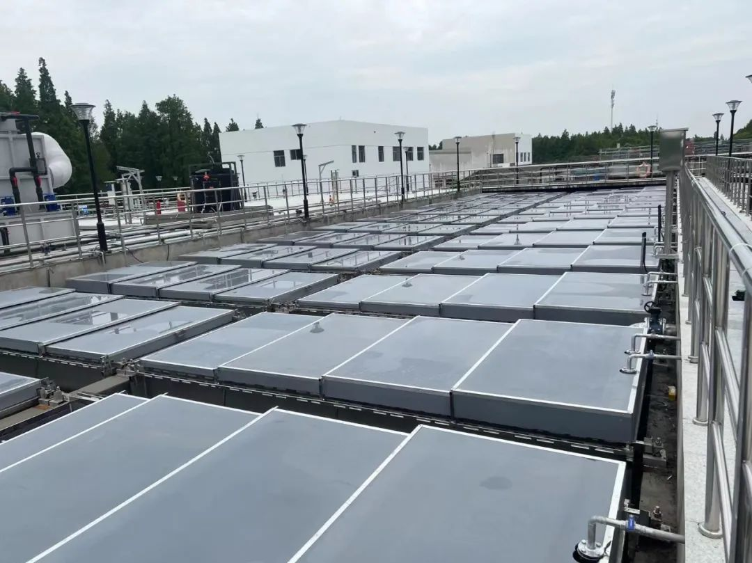 Z6¡¤×ðÁú¡¸Öйú¡¹¹Ù·½ÍøÕ¾