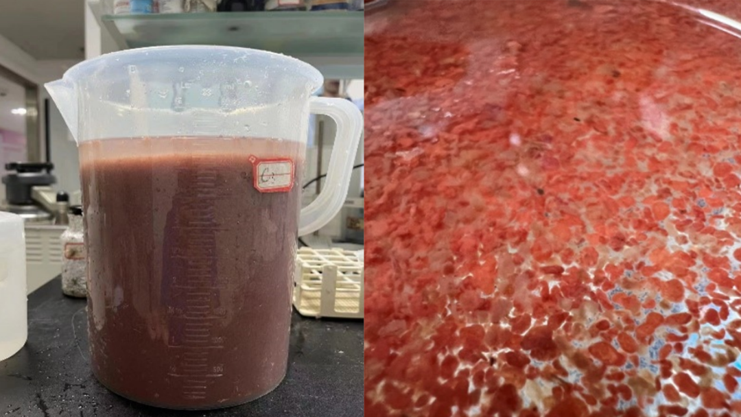 Z6¡¤×ðÁú¡¸Öйú¡¹¹Ù·½ÍøÕ¾