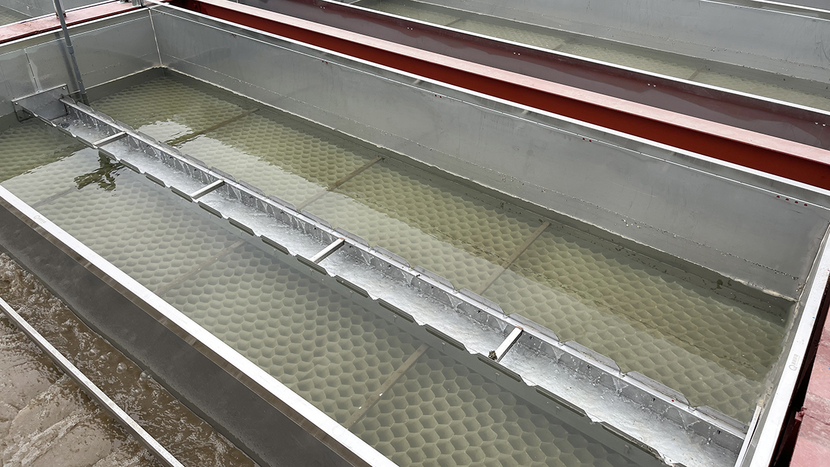 Z6¡¤×ðÁú¡¸Öйú¡¹¹Ù·½ÍøÕ¾