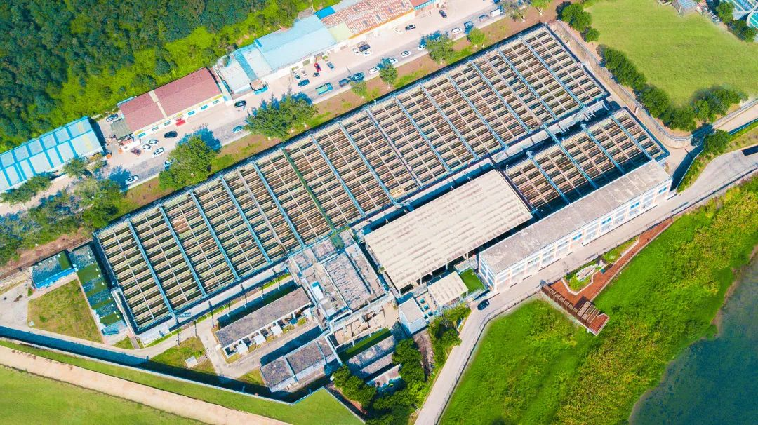 Z6¡¤×ðÁú¡¸Öйú¡¹¹Ù·½ÍøÕ¾