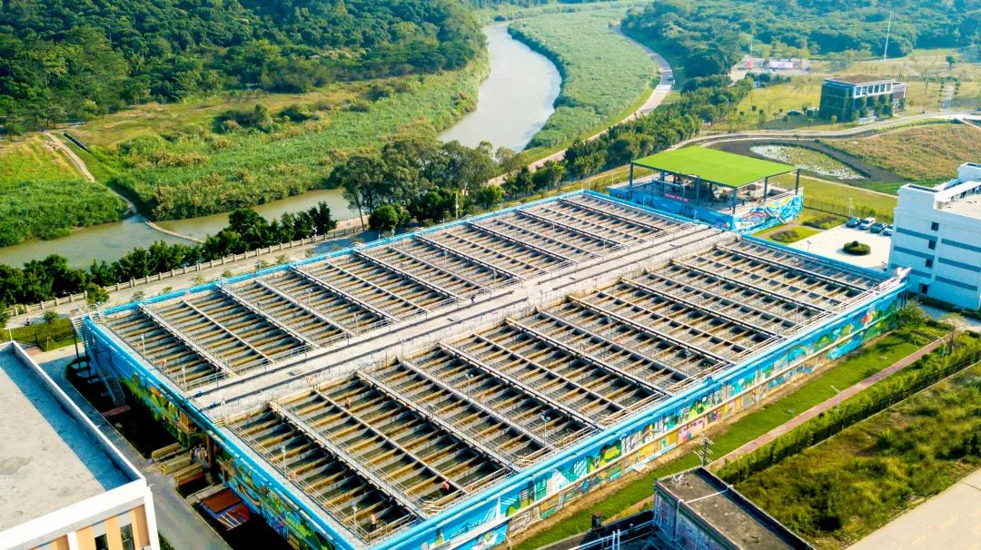 Z6¡¤×ðÁú¡¸Öйú¡¹¹Ù·½ÍøÕ¾