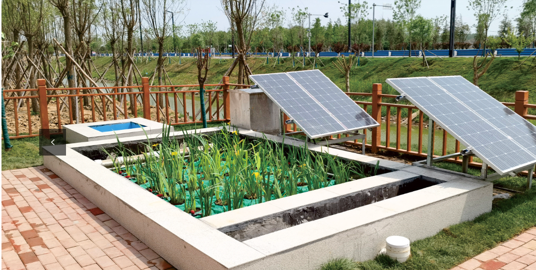 Z6¡¤×ðÁú¡¸Öйú¡¹¹Ù·½ÍøÕ¾