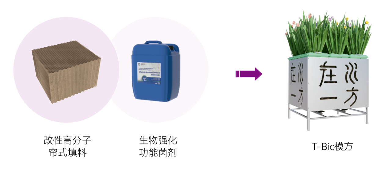 Z6·尊龙「中国」官方网站