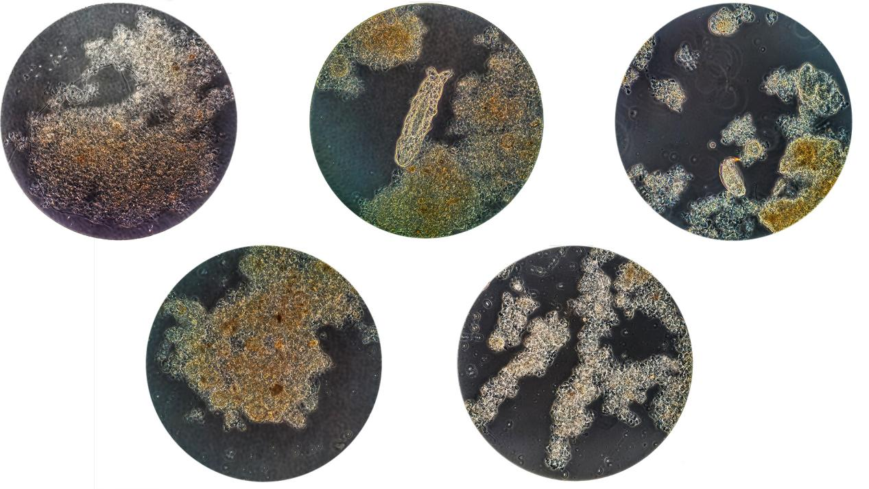 Z6·尊龙「中国」官方网站