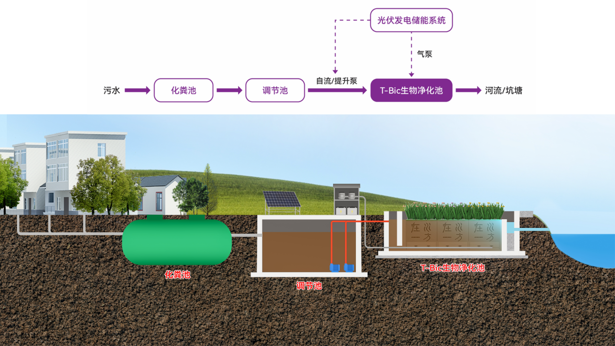 Z6·尊龙「中国」官方网站