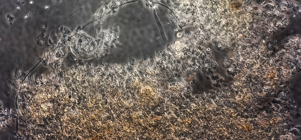 Z6·尊龙「中国」官方网站