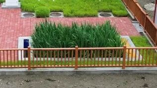 Z6·尊龙「中国」官方网站